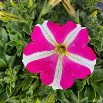 Фото 3