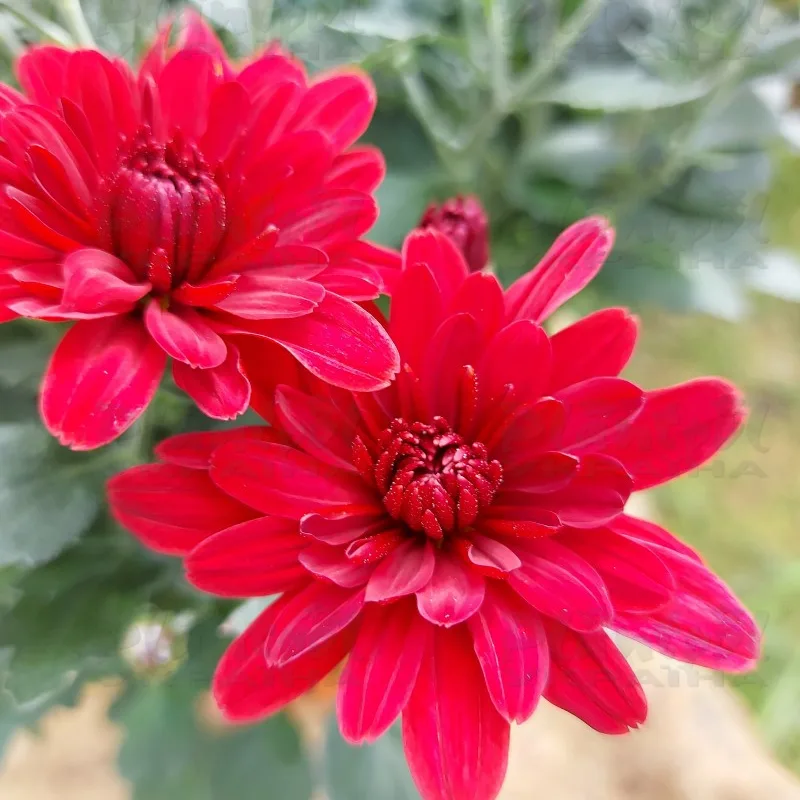 Фото 6