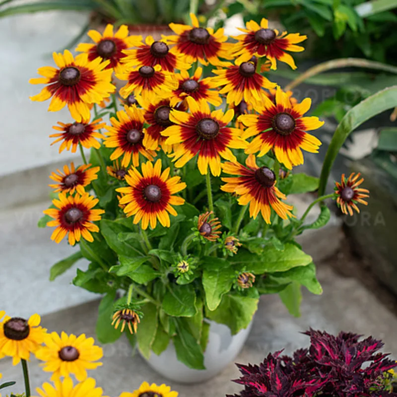 Фото 2
