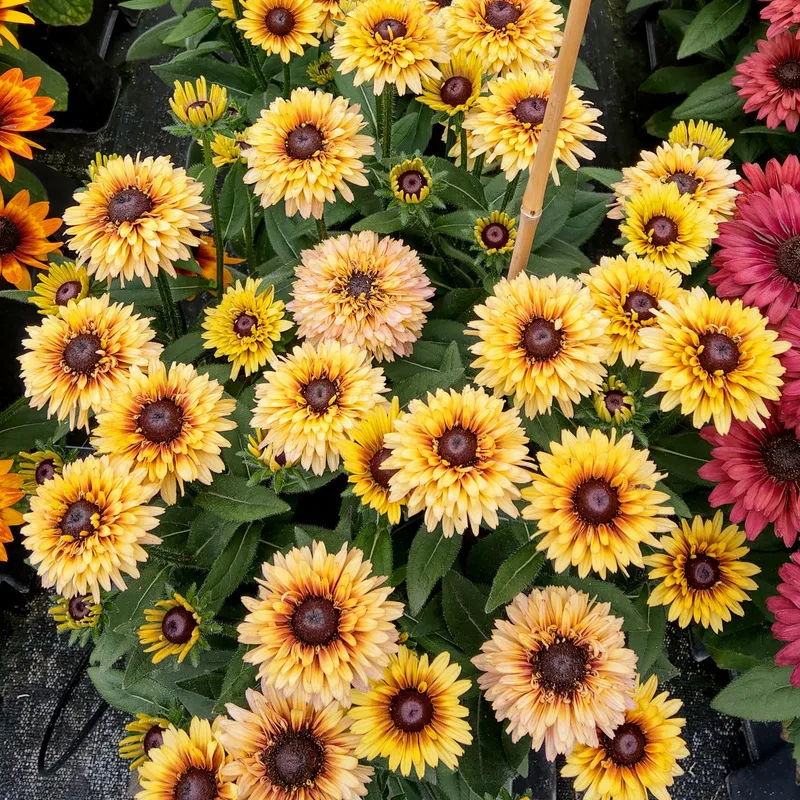 Фото 1