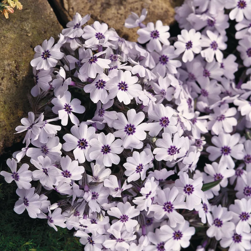 Фото 1