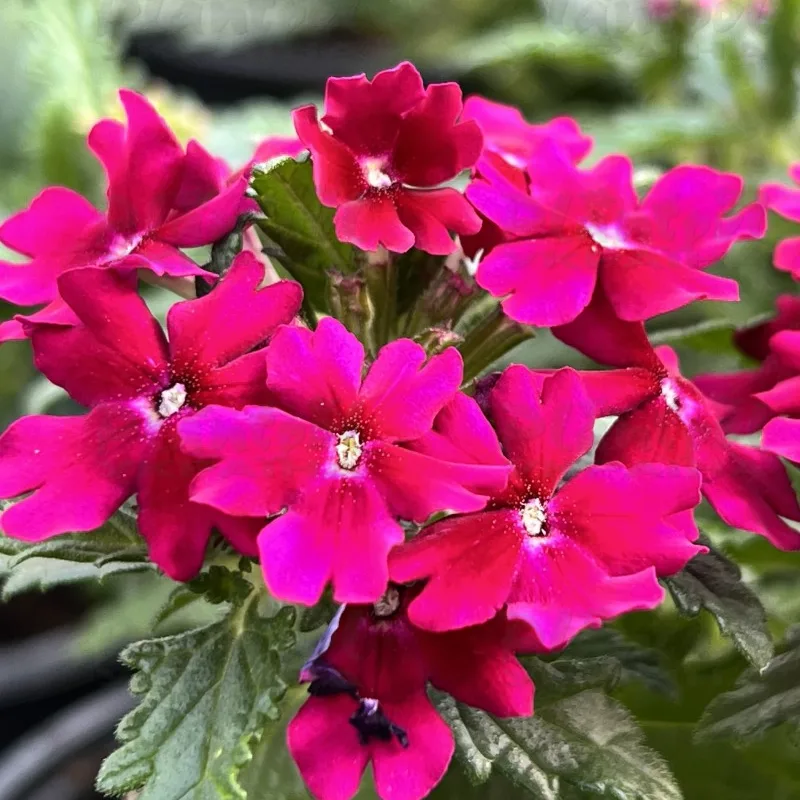 Фото 2