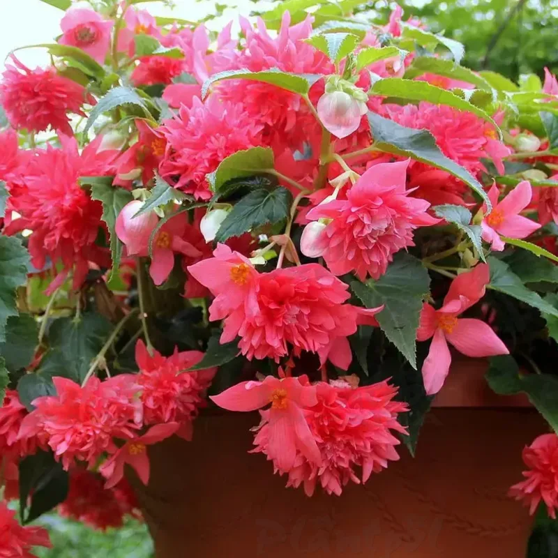 Фото 2