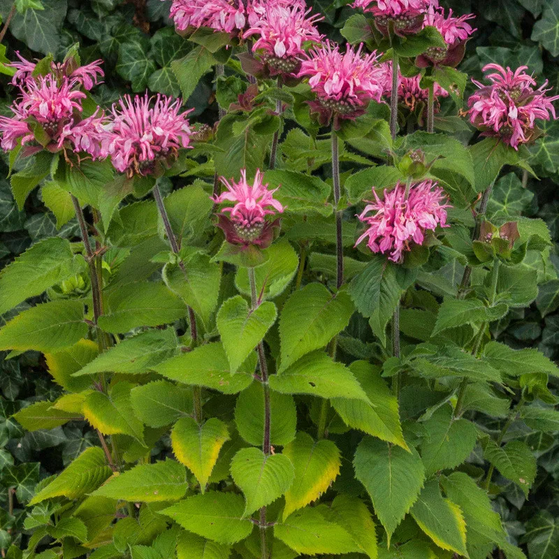Фото 2