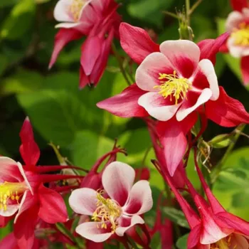 Фото 2