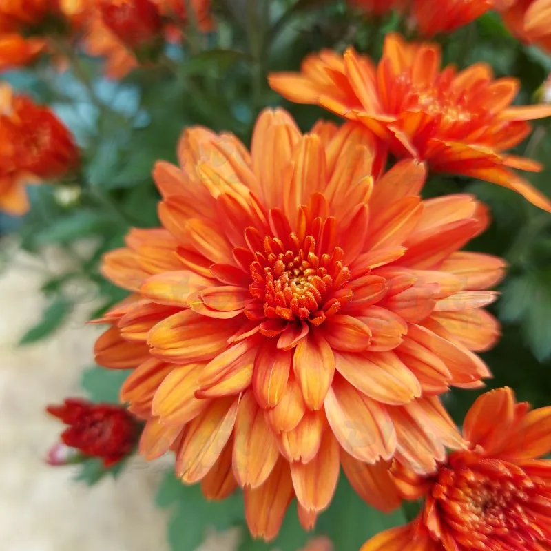 Фото 6