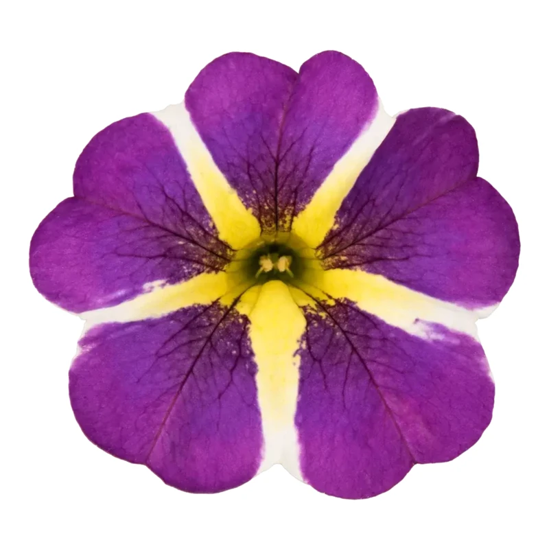 Фото 2