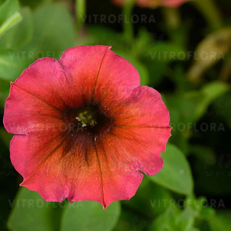 Фото 2
