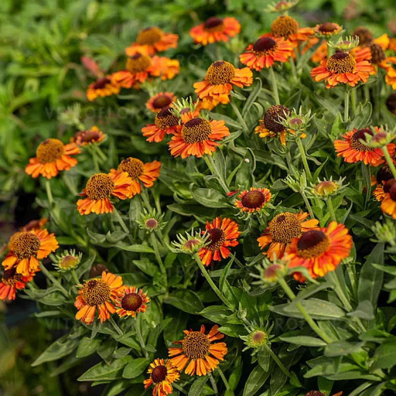 Фото 2