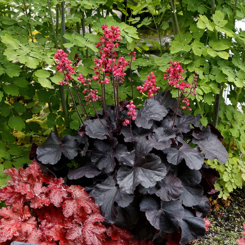 Фото 2