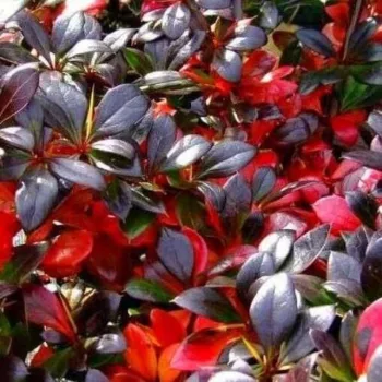 Фото 2