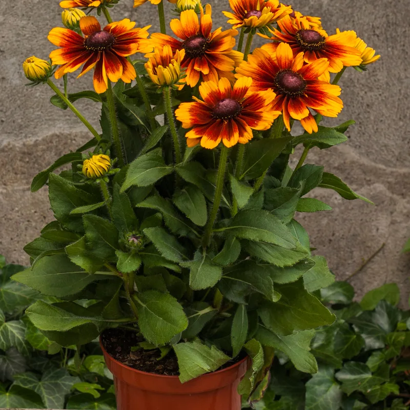 Фото 2