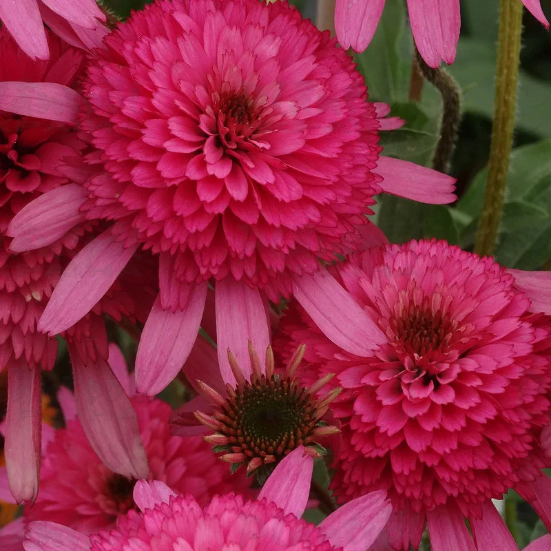 Фото 2