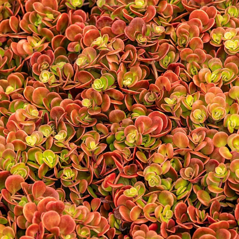 Фото 1