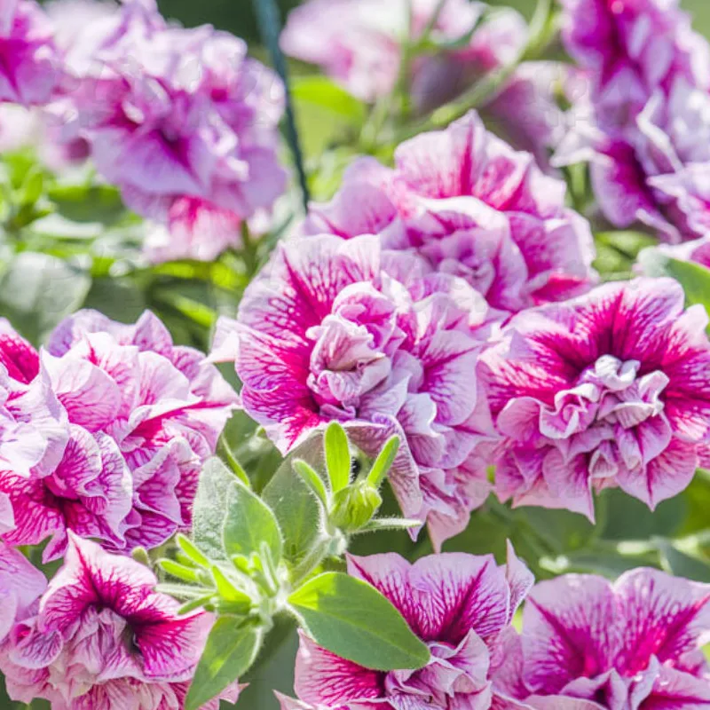 Фото 3