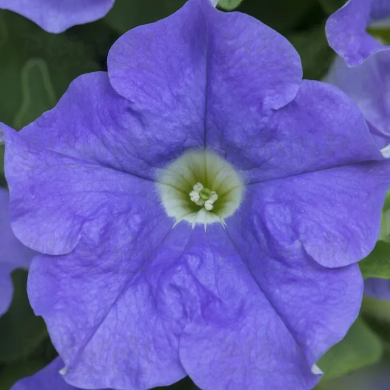 Фото 3