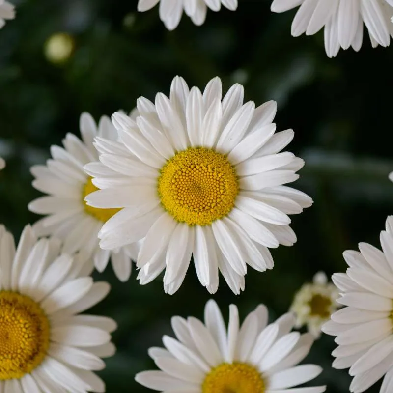 Фото 2