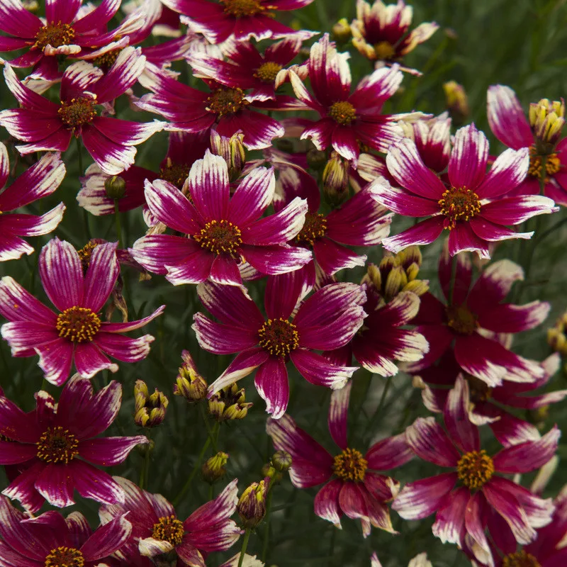 Фото 2