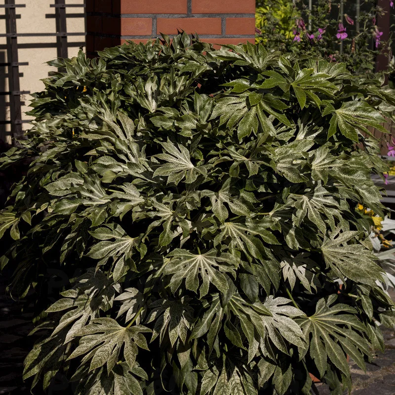 Фото 2