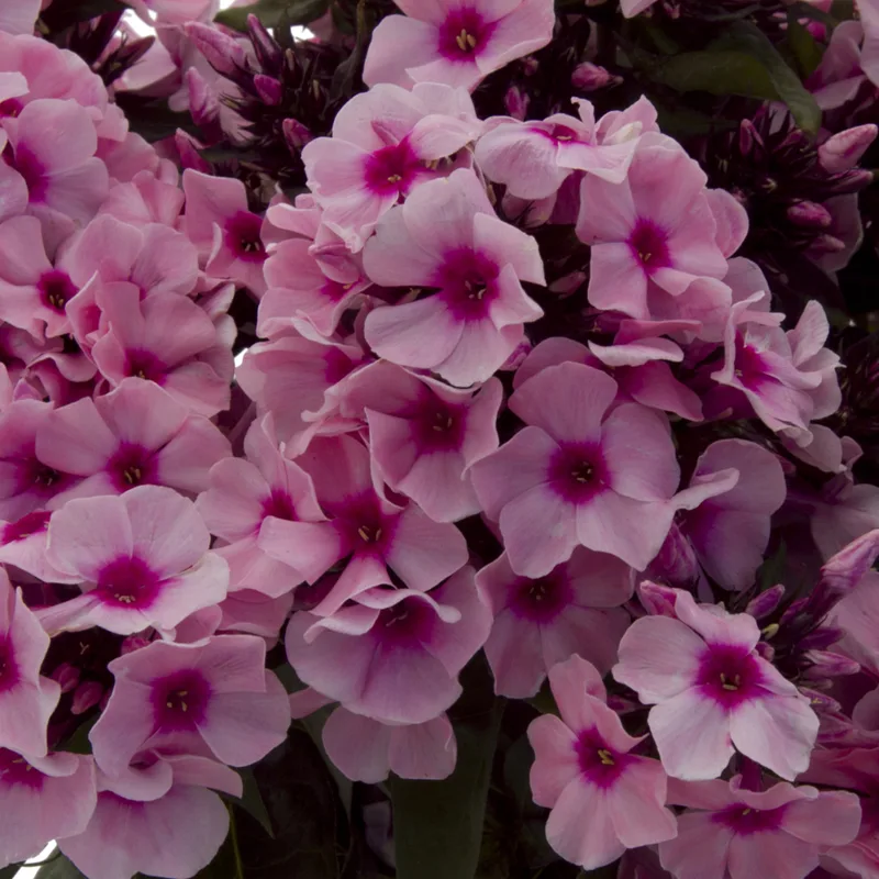 Фото 2