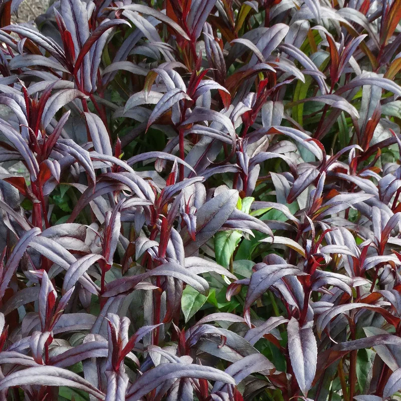 Фото 2