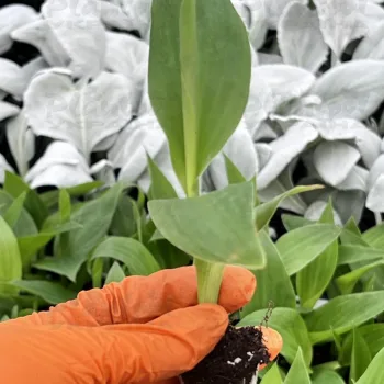 Фото 4