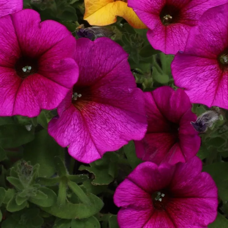 Фото 2