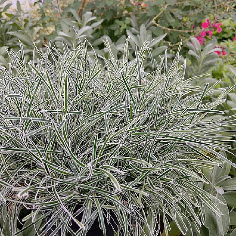 Фото 1