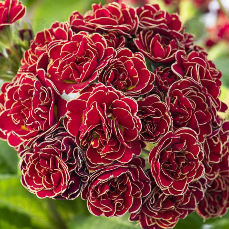 Фото 2