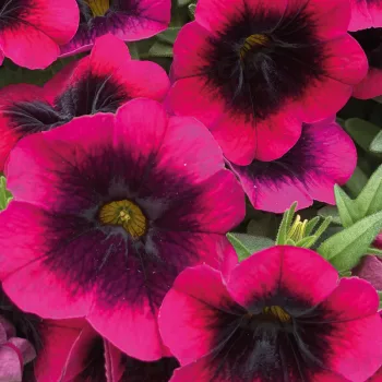 Фото 2