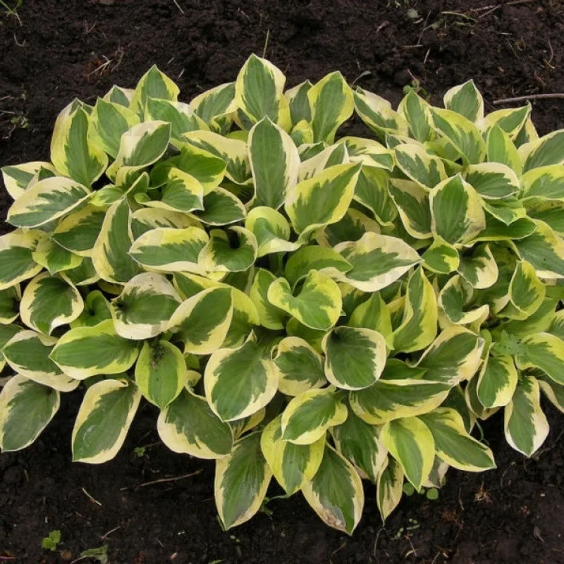 Фото 2
