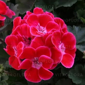 Фото 3