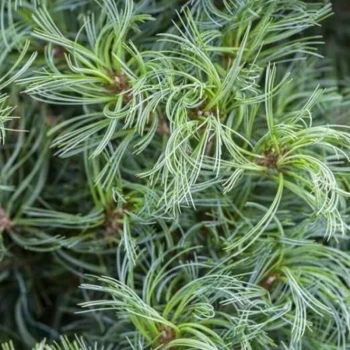 Фото 2