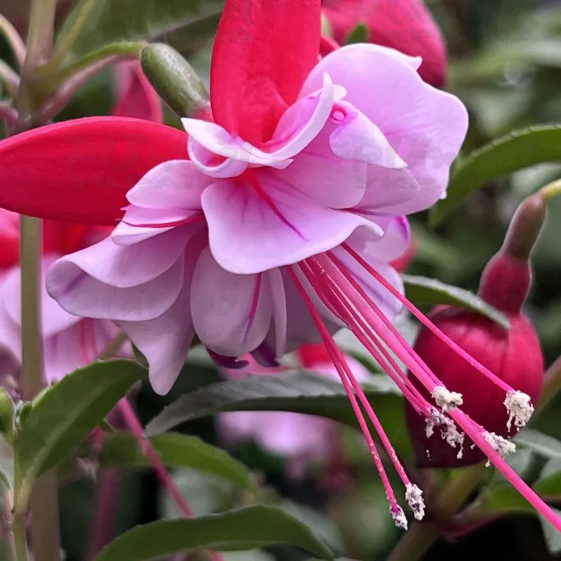 Фото 2