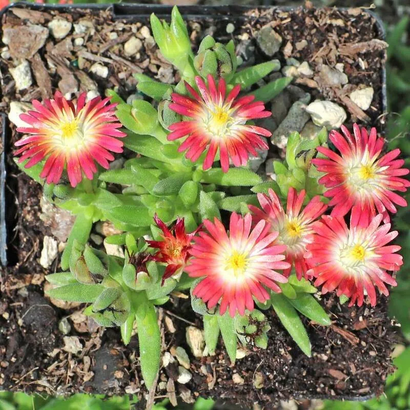 Фото 2