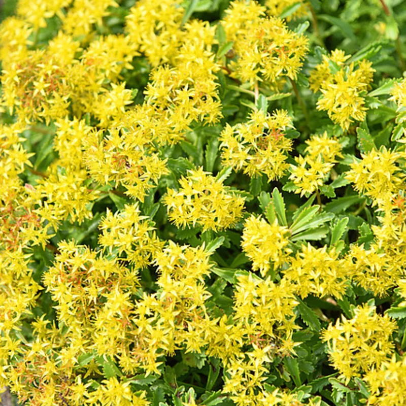 Фото 1