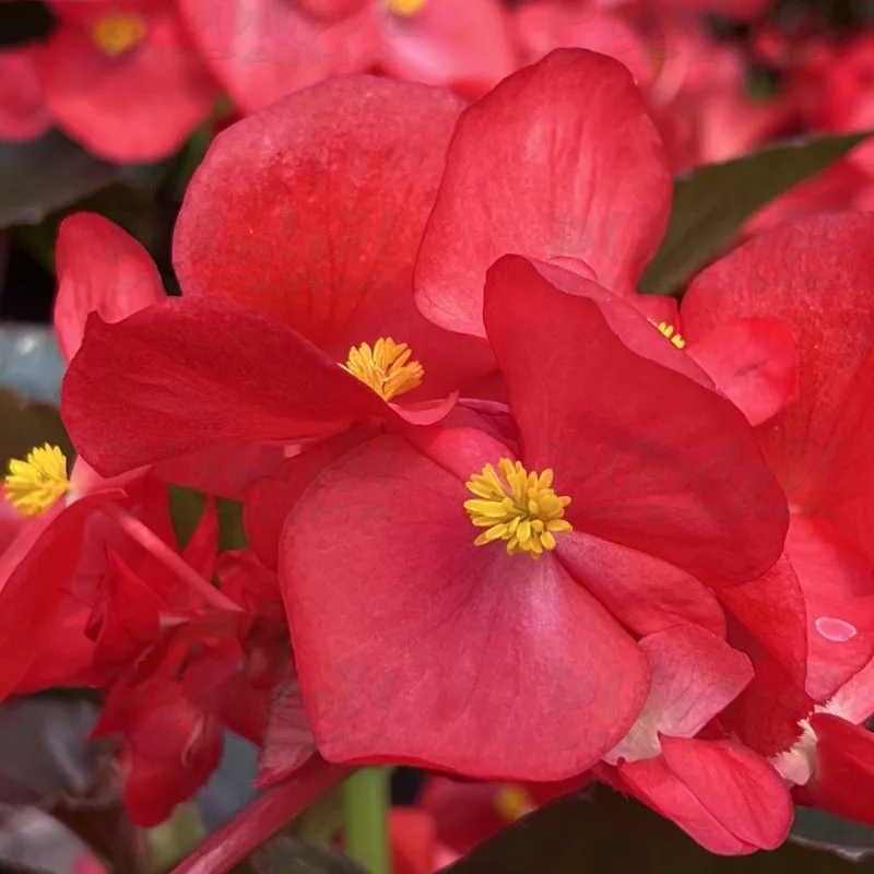 Фото 2