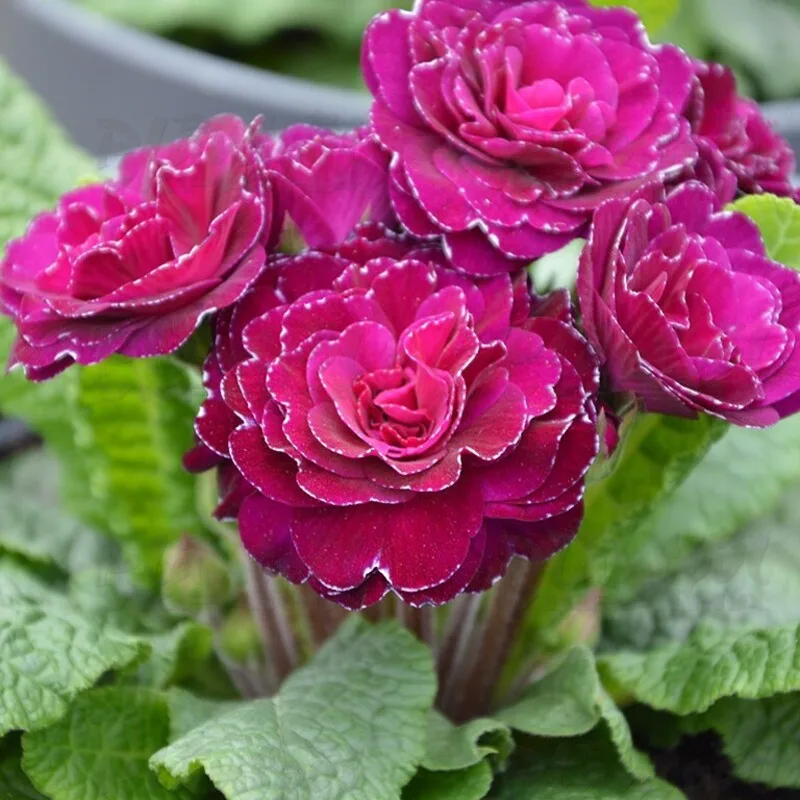 Фото 3