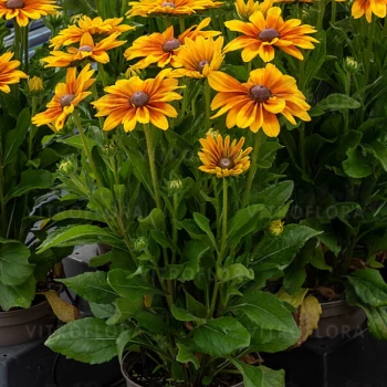 Фото 2