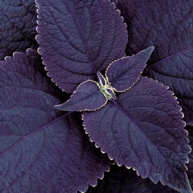 Фото 1