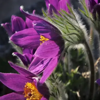 Фото 3