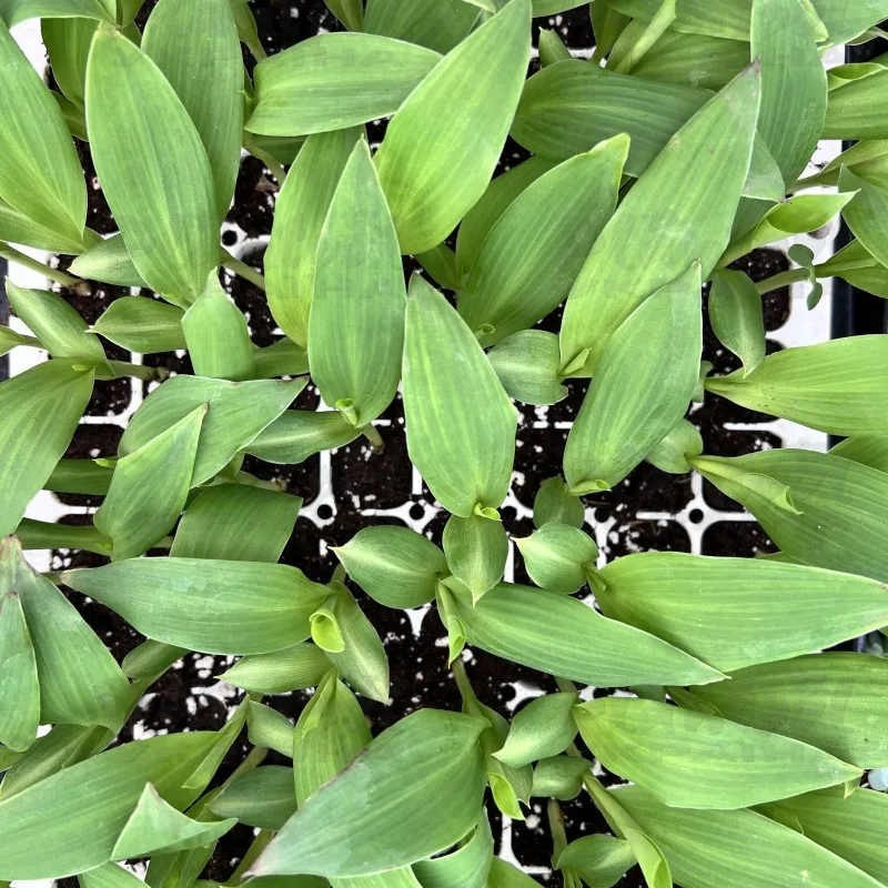 Фото 6