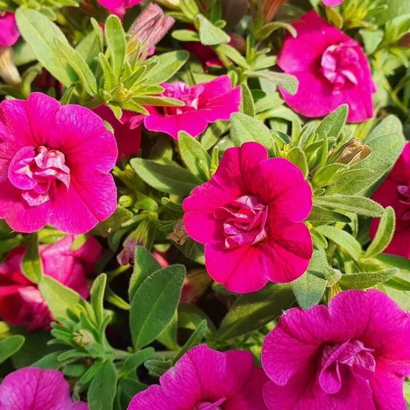 Фото 2