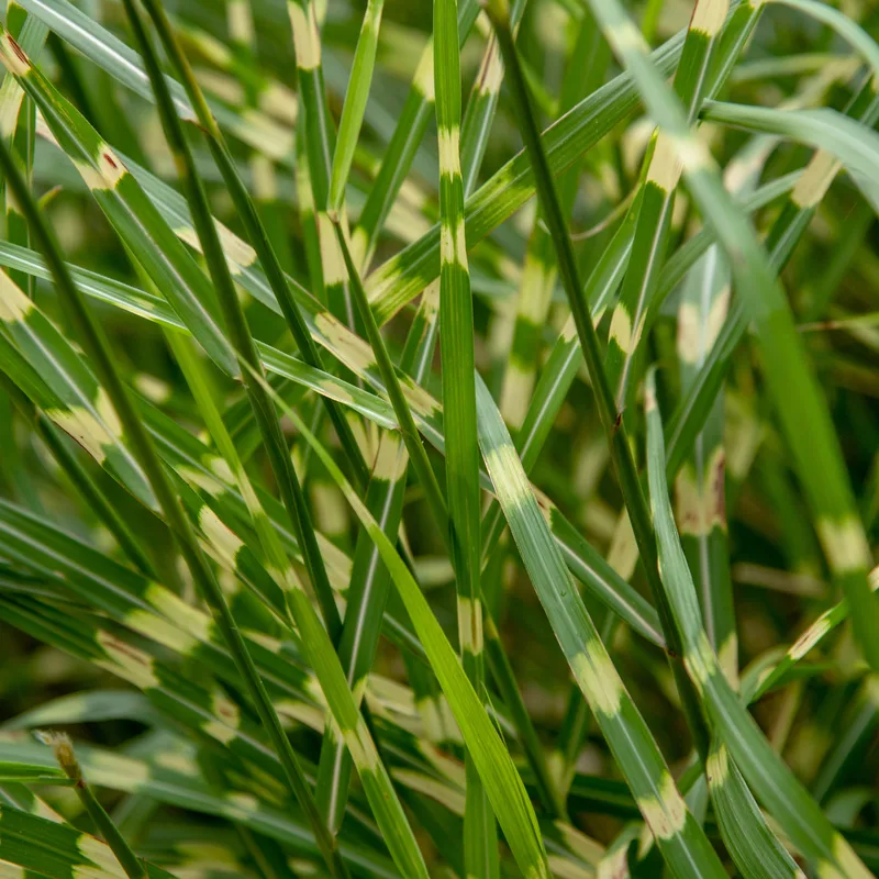 Фото 1