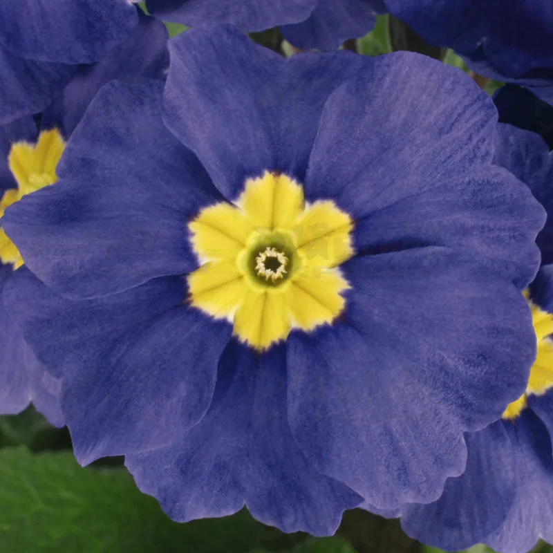 Фото 3