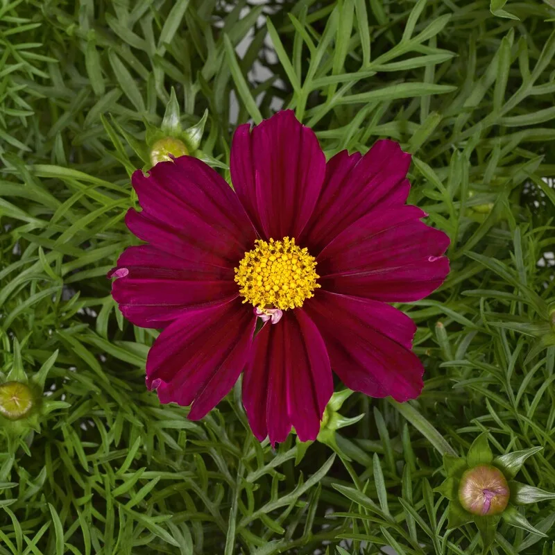 Фото 1