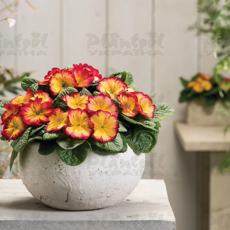Фото 3