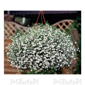 Фото 1