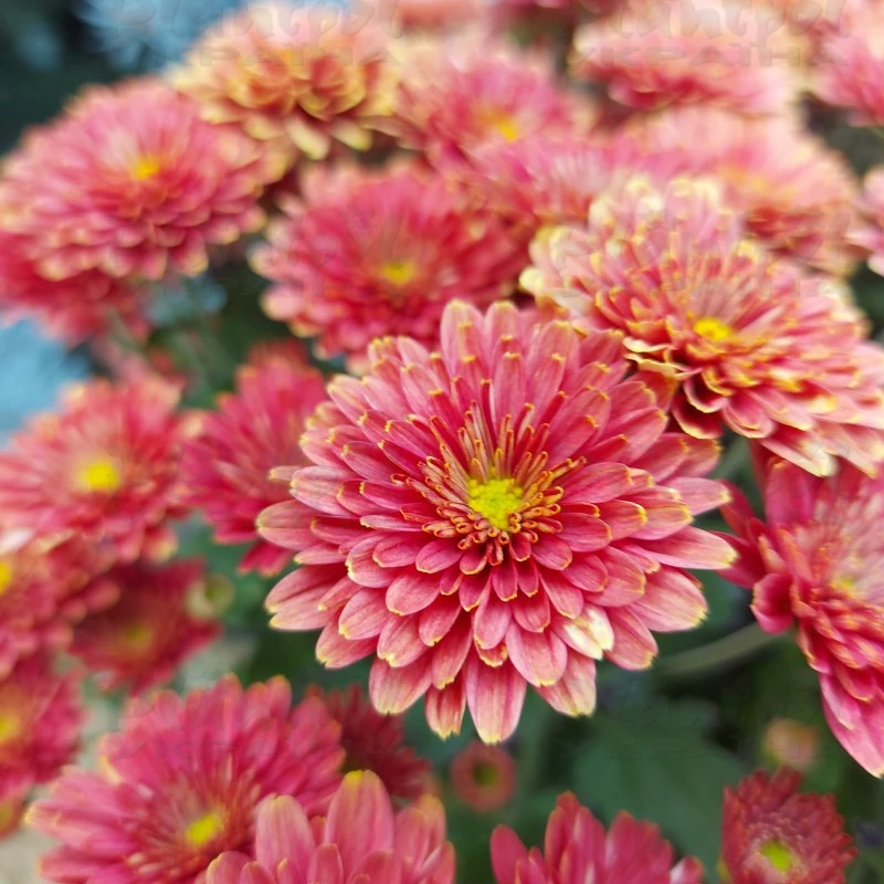 Фото 6