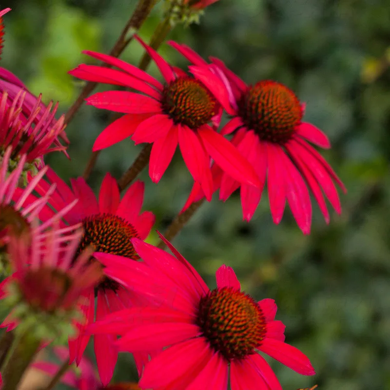 Фото 2
